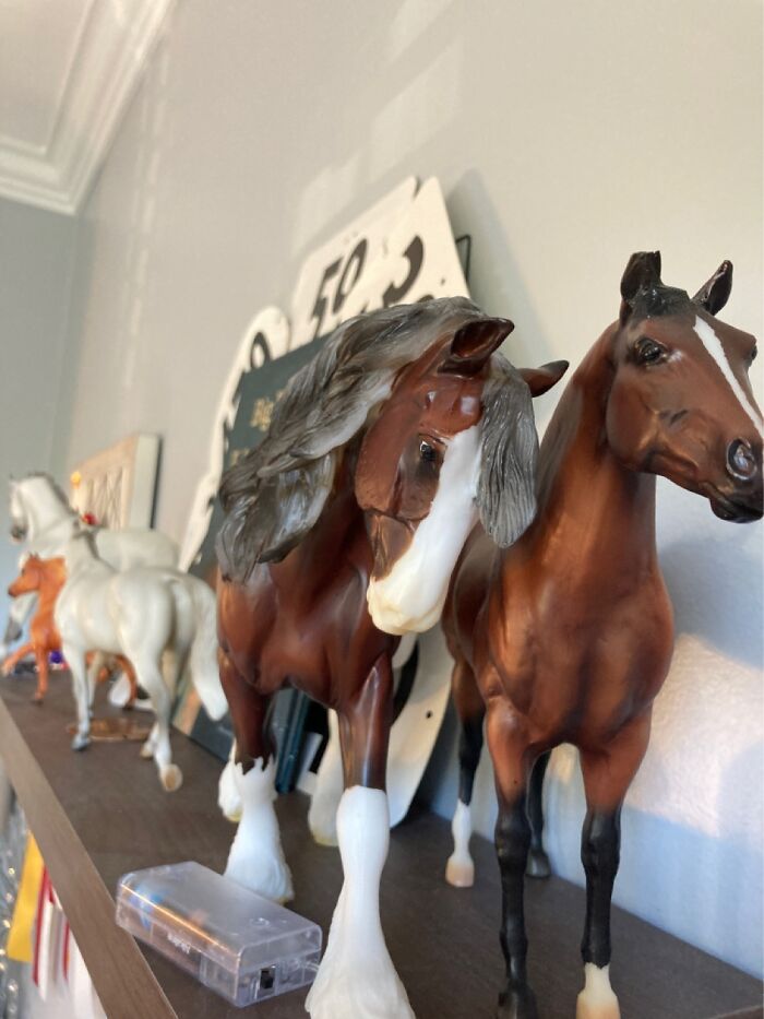 Hey Pandas, Show Me Something You Collect (Closed) Hey Pandas, Show Me Something You Collect (Closed)