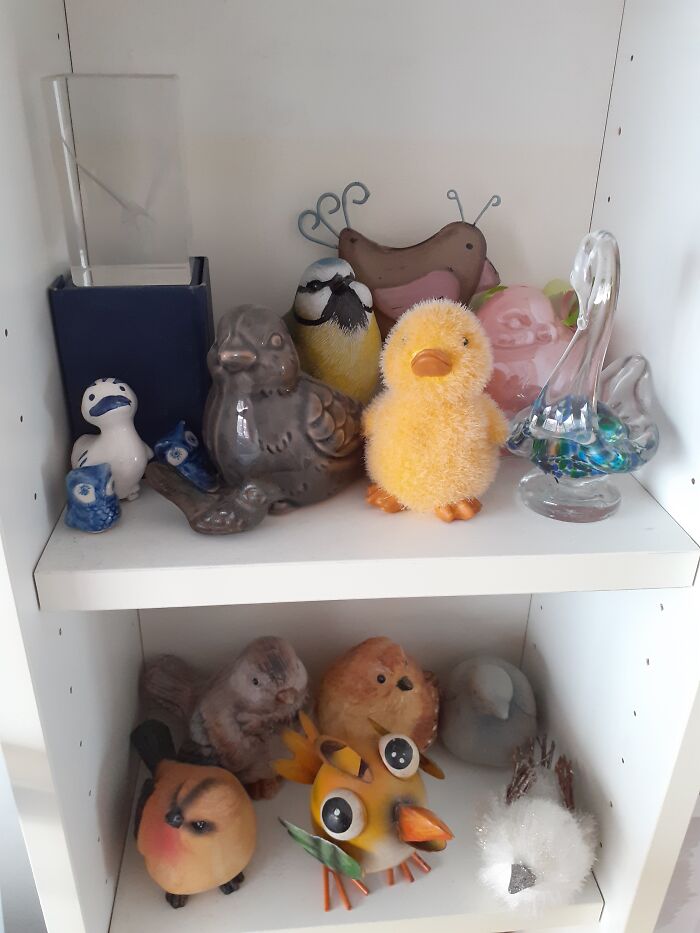 Hey Pandas, Show Me Something You Collect (Closed)