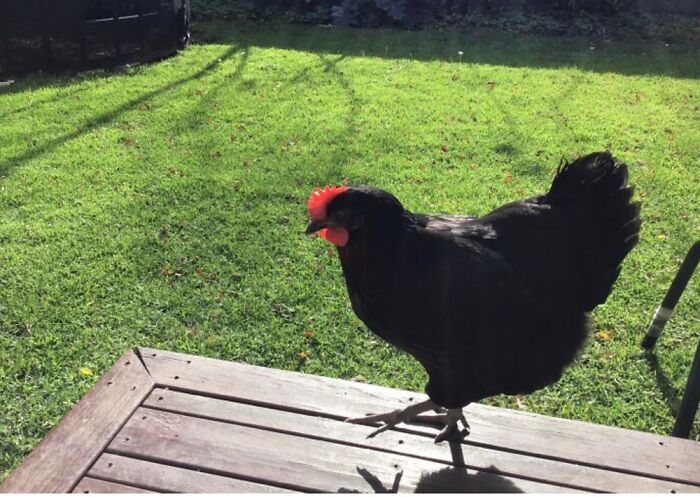 Hey Pandas, What’s Something Your Proud Of? (Closed) Hey Pandas, What’s Something Your Proud Of? (Closed)