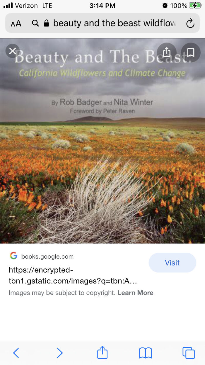 Hey Pandas, What’s Something Your Proud Of? (Closed) Hey Pandas, What’s Something Your Proud Of? (Closed)