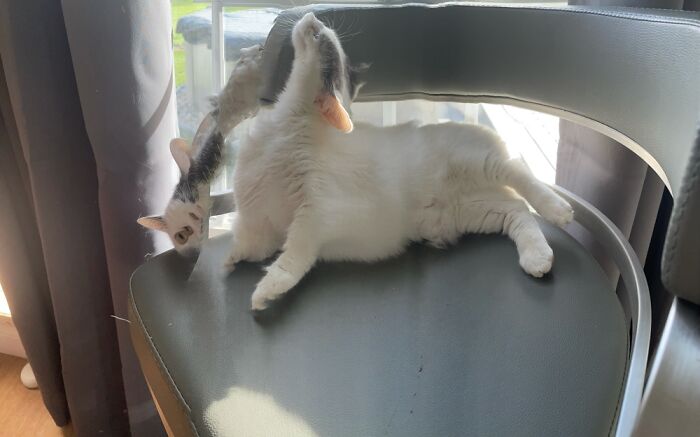 Hey Pandas, Post The Funniest Pic You Ever Took (Closed) Hey Pandas, Post The Funniest Pic You Ever Took (Closed)