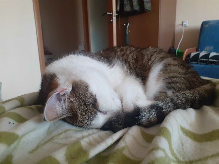 Hey Pandas, Post The Funniest Pic You Ever Took (Closed) Hey Pandas, Post The Funniest Pic You Ever Took (Closed)