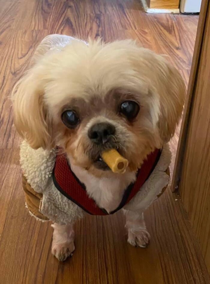 Hey Pandas, Post The Funniest Pic You Ever Took (Closed) Hey Pandas, Post The Funniest Pic You Ever Took (Closed)