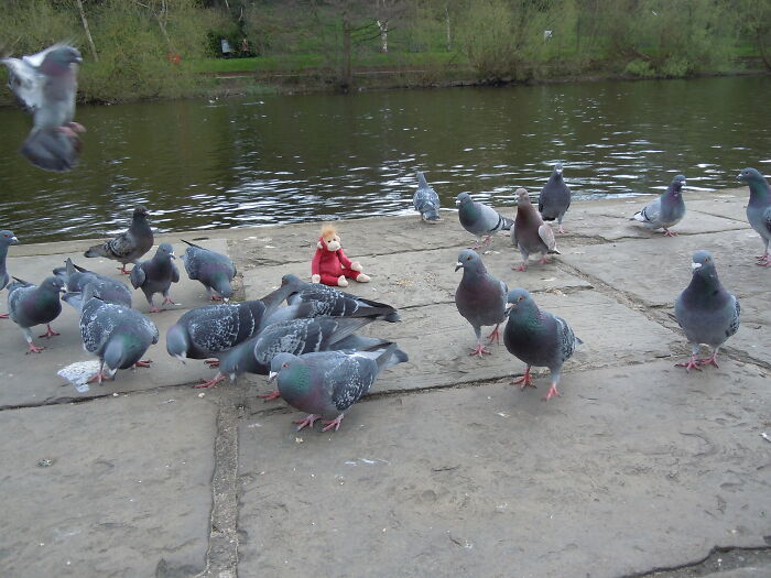 Hey Pandas, Post The Funniest Pic You Ever Took (Closed) Hey Pandas, Post The Funniest Pic You Ever Took (Closed)