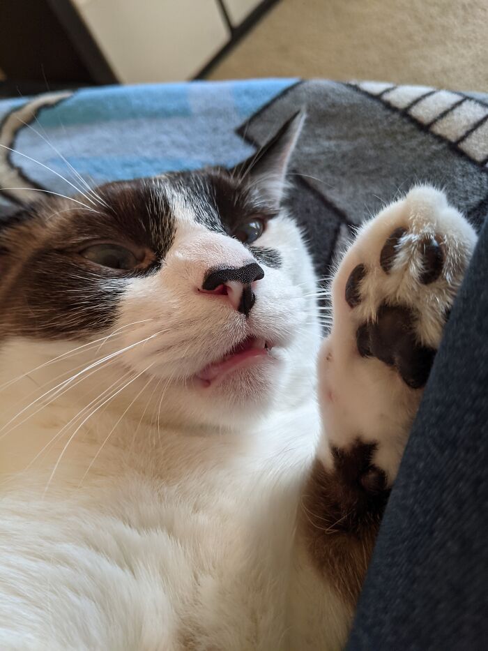 Hey Pandas, Post The Funniest Pic You Ever Took (Closed) Hey Pandas, Post The Funniest Pic You Ever Took (Closed)