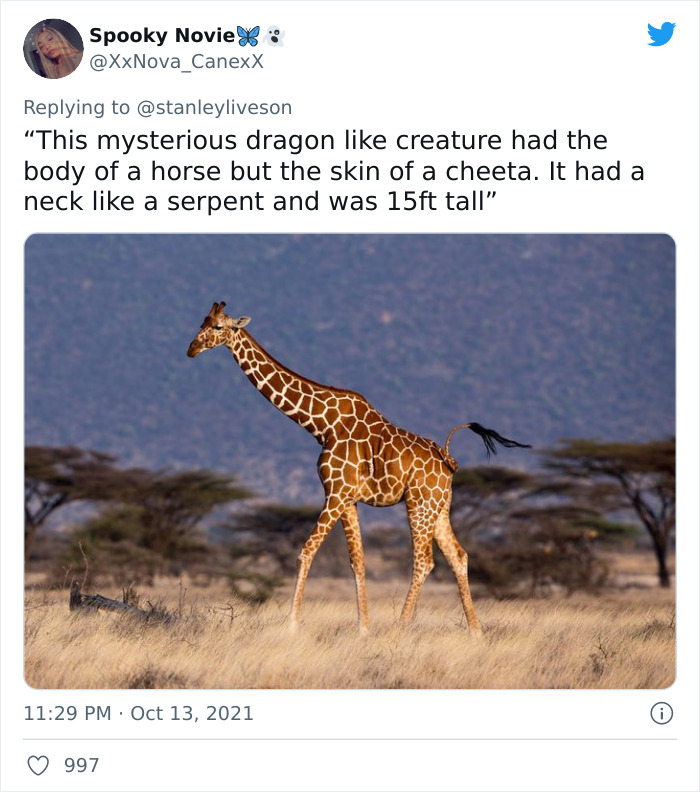 26 Myths That Might Have Originated Because People With Poor Eyesight Had No Access To Glasses, As Shared On Twitter 26 Myths That Might Have Originated Because People With Poor Eyesight Had No Access To Glasses, As Shared On Twitter