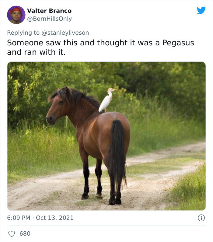 26 Myths That Might Have Originated Because People With Poor Eyesight Had No Access To Glasses, As Shared On Twitter 26 Myths That Might Have Originated Because People With Poor Eyesight Had No Access To Glasses, As Shared On Twitter