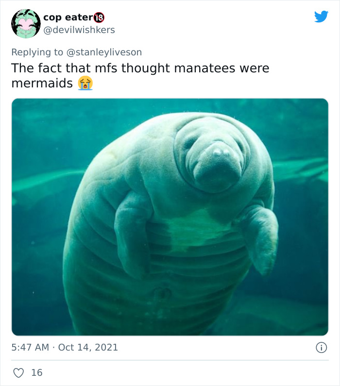 26 Myths That Might Have Originated Because People With Poor Eyesight Had No Access To Glasses, As Shared On Twitter 26 Myths That Might Have Originated Because People With Poor Eyesight Had No Access To Glasses, As Shared On Twitter