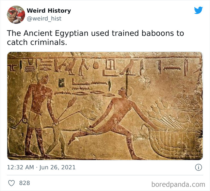 107 ‘Weird History’ Facts That History And Trivia Lovers Might Find Interesting (New Pics) 107 ‘Weird History’ Facts That History And Trivia Lovers Might Find Interesting (New Pics)