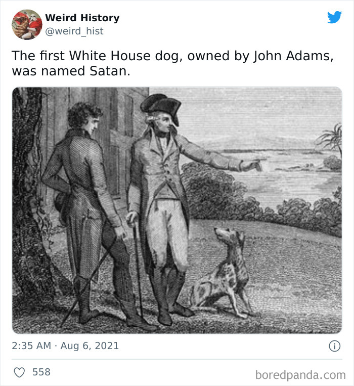 107 ‘Weird History’ Facts That History And Trivia Lovers Might Find Interesting (New Pics) 107 ‘Weird History’ Facts That History And Trivia Lovers Might Find Interesting (New Pics)