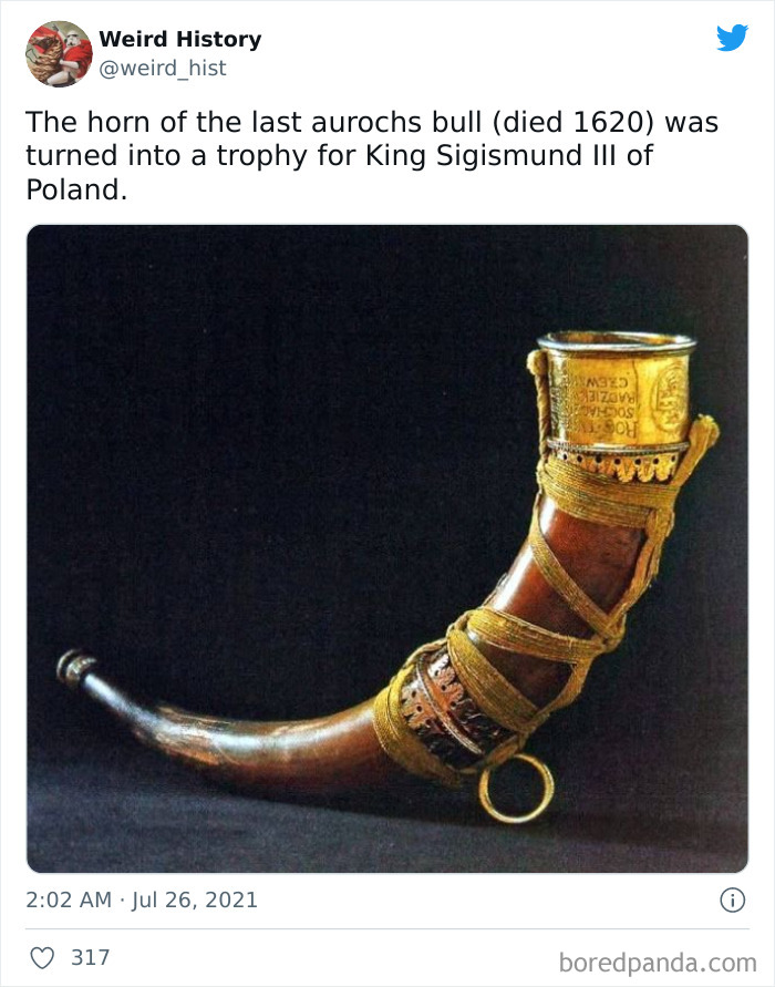 107 &lsquo;Weird History&rsquo; Facts That History And Trivia Lovers Might Find Interesting (New Pics)
