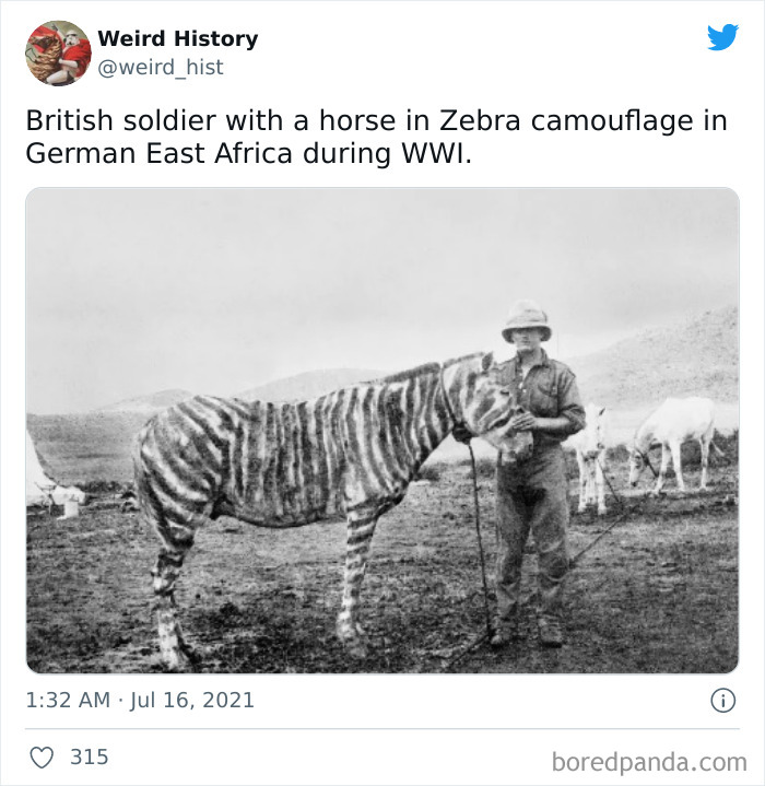 107 ‘Weird History’ Facts That History And Trivia Lovers Might Find Interesting (New Pics) 107 ‘Weird History’ Facts That History And Trivia Lovers Might Find Interesting (New Pics)