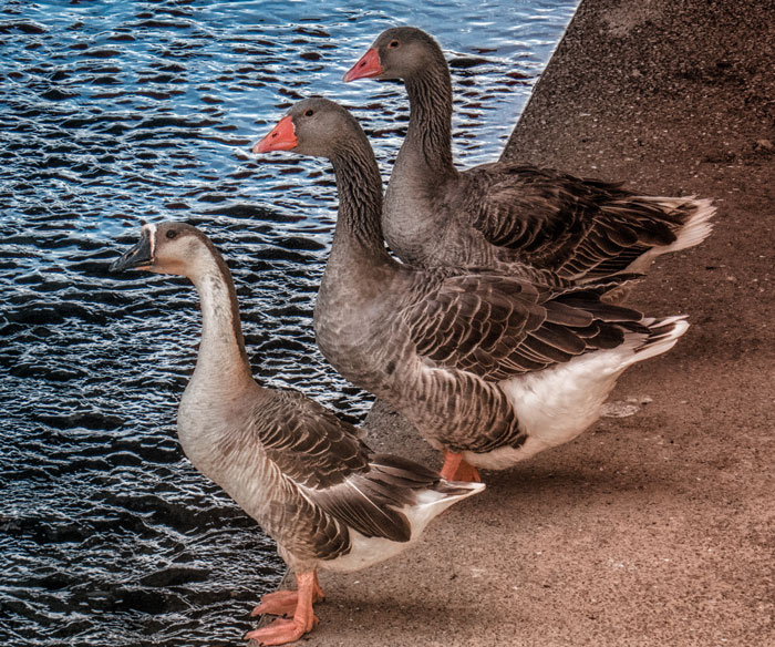 30 Things Taught In School That Raise The Question “What Was The Point?” As Shared By People In This Online Group 30 Things Taught In School That Raise The Question “What Was The Point?” As Shared By People In This Online Group