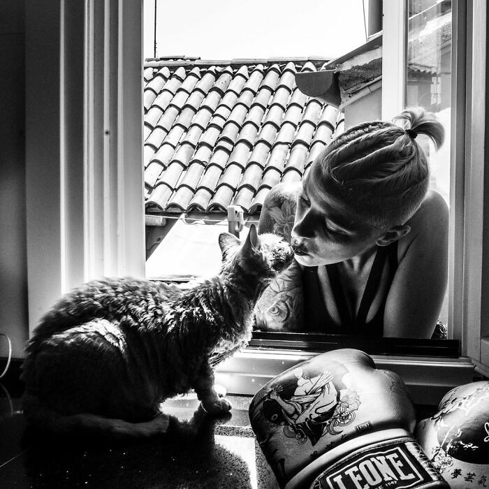 Catisfaction: I Captured These 34 Beautiful Moments Of Happy Cats (New Pics) Catisfaction: I Captured These 34 Beautiful Moments Of Happy Cats (New Pics)