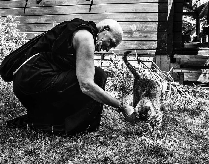 Catisfaction: I Captured These 34 Beautiful Moments Of Happy Cats (New Pics) Catisfaction: I Captured These 34 Beautiful Moments Of Happy Cats (New Pics)