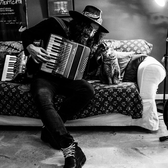 Catisfaction: I Captured These 34 Beautiful Moments Of Happy Cats (New Pics) Catisfaction: I Captured These 34 Beautiful Moments Of Happy Cats (New Pics)