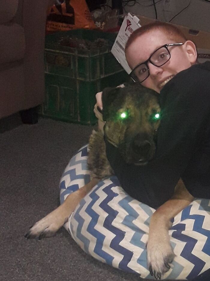 Hey Pandas, Post A Picture Of Your Stuffed Animal, Please (Closed) Hey Pandas, Post A Picture Of Your Stuffed Animal, Please (Closed)