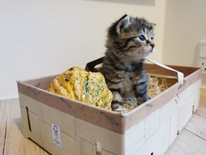 Hey Pandas, Post A Picture Of Your Halloween Decor (Closed) Hey Pandas, Post A Picture Of Your Halloween Decor (Closed)