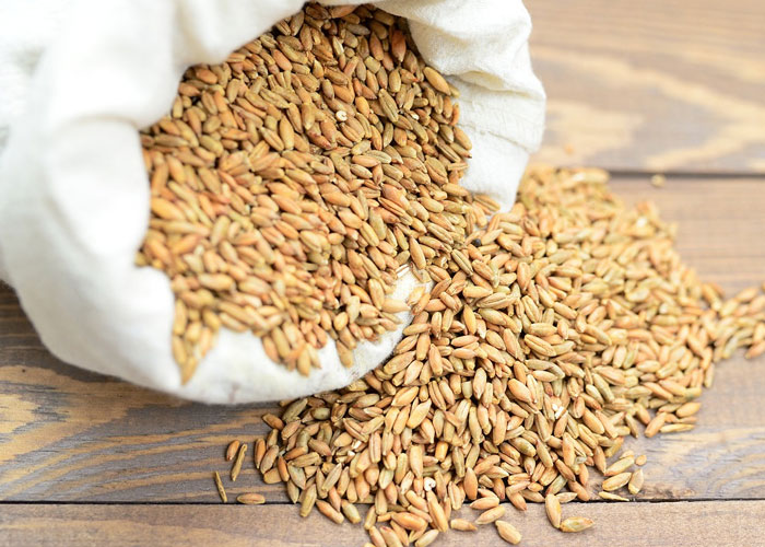 40 ‘Today I Learned’ Facts That Show It’s Never Too Late To Learn (New Pics)