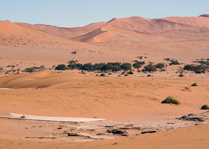 40 ‘Today I Learned’ Facts That Show It’s Never Too Late To Learn (New Pics) 40 ‘Today I Learned’ Facts That Show It’s Never Too Late To Learn (New Pics)