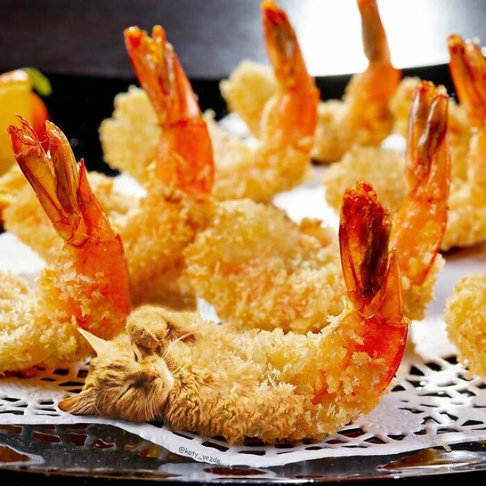 Person Shows What Everything Would Look Like If It Had A Cat’s Face And The Result Is Funny Yet Disturbing (98 New Pics)