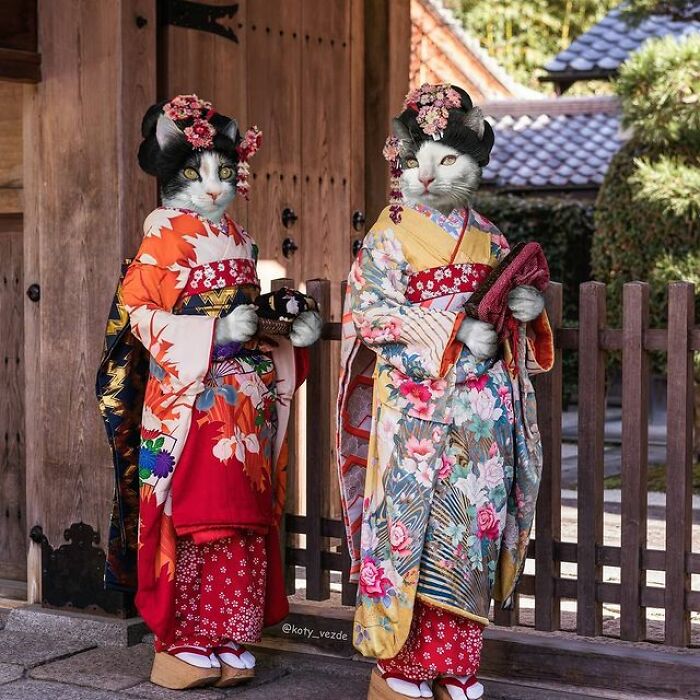 Person Shows What Everything Would Look Like If It Had A Cat’s Face And The Result Is Funny Yet Disturbing (98 New Pics)