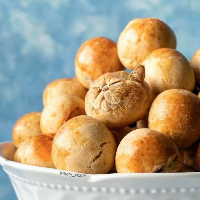 Person Shows What Everything Would Look Like If It Had A Cat’s Face And The Result Is Funny Yet Disturbing (98 New Pics) Person Shows What Everything Would Look Like If It Had A Cat’s Face And The Result Is Funny Yet Disturbing (98 New Pics)