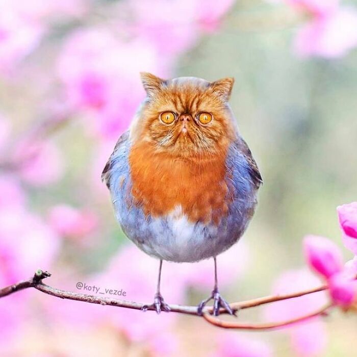 Person Shows What Everything Would Look Like If It Had A Cat’s Face And The Result Is Funny Yet Disturbing (98 New Pics) Person Shows What Everything Would Look Like If It Had A Cat’s Face And The Result Is Funny Yet Disturbing (98 New Pics)