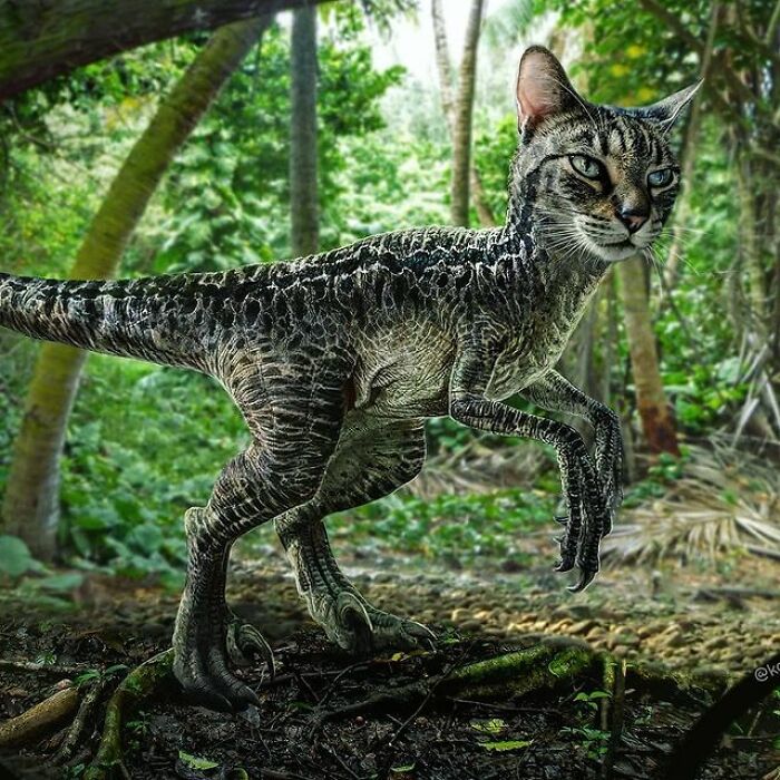 Person Shows What Everything Would Look Like If It Had A Cat’s Face And The Result Is Funny Yet Disturbing (98 New Pics)