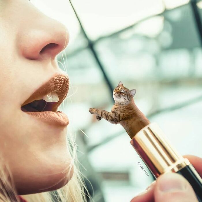 Person Shows What Everything Would Look Like If It Had A Cat’s Face And The Result Is Funny Yet Disturbing (98 New Pics)