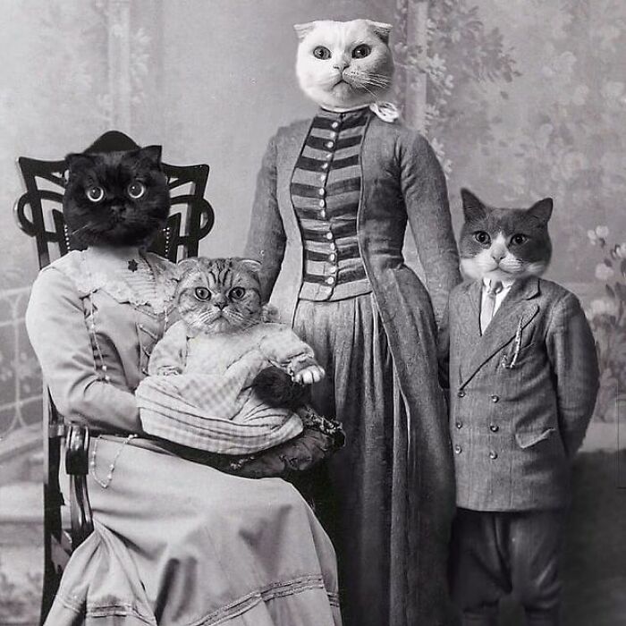 Person Shows What Everything Would Look Like If It Had A Cat’s Face And The Result Is Funny Yet Disturbing (98 New Pics)
