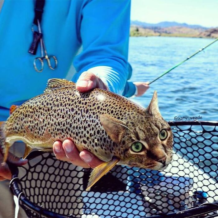 Person Shows What Everything Would Look Like If It Had A Cat’s Face And The Result Is Funny Yet Disturbing (98 New Pics)