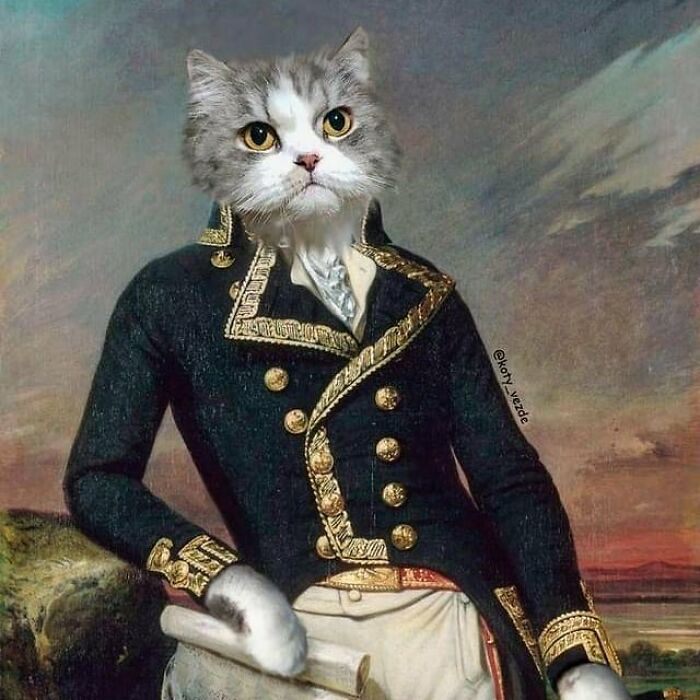 Person Shows What Everything Would Look Like If It Had A Cat’s Face And The Result Is Funny Yet Disturbing (98 New Pics)