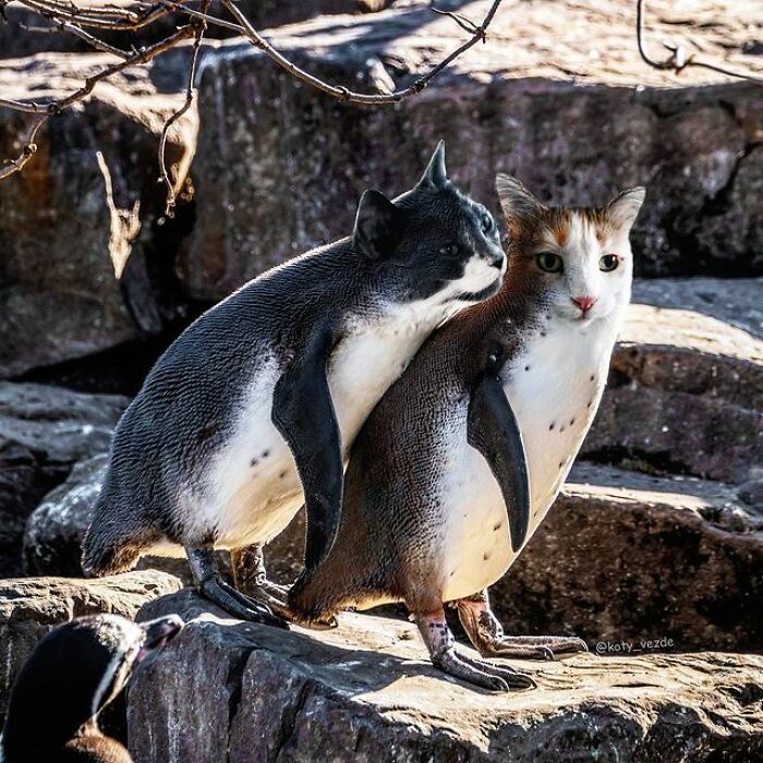 Person Shows What Everything Would Look Like If It Had A Cat’s Face And The Result Is Funny Yet Disturbing (98 New Pics)