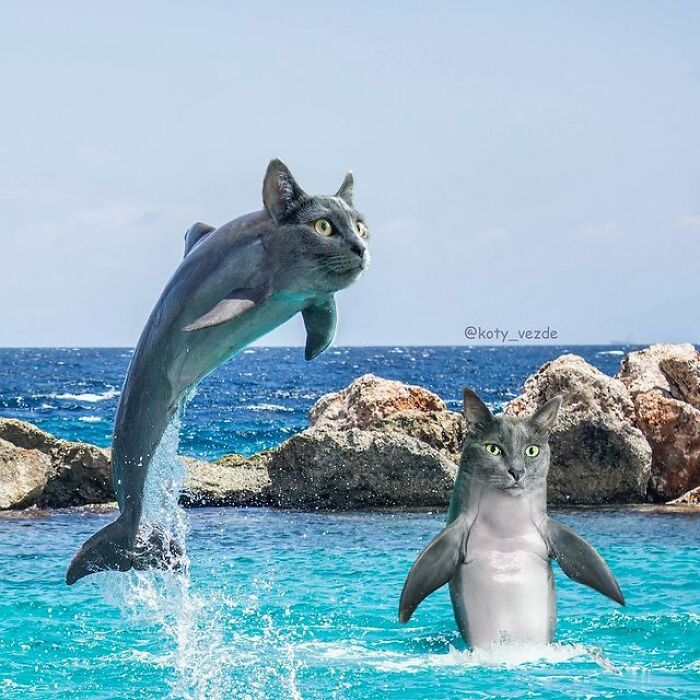 Person Shows What Everything Would Look Like If It Had A Cat’s Face And The Result Is Funny Yet Disturbing (98 New Pics) Person Shows What Everything Would Look Like If It Had A Cat’s Face And The Result Is Funny Yet Disturbing (98 New Pics)