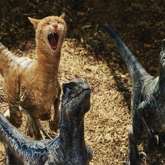 Person Shows What Everything Would Look Like If It Had A Cat’s Face And The Result Is Funny Yet Disturbing (98 New Pics)