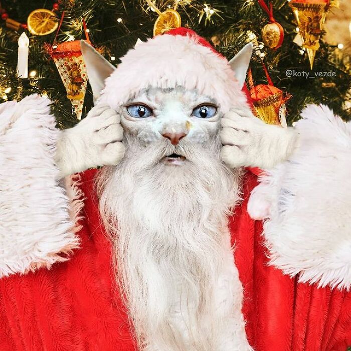 Person Shows What Everything Would Look Like If It Had A Cat’s Face And The Result Is Funny Yet Disturbing (98 New Pics)