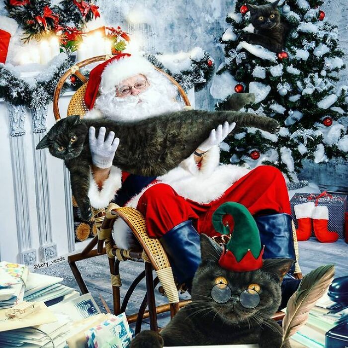 Person Shows What Everything Would Look Like If It Had A Cat’s Face And The Result Is Funny Yet Disturbing (98 New Pics) Person Shows What Everything Would Look Like If It Had A Cat’s Face And The Result Is Funny Yet Disturbing (98 New Pics)