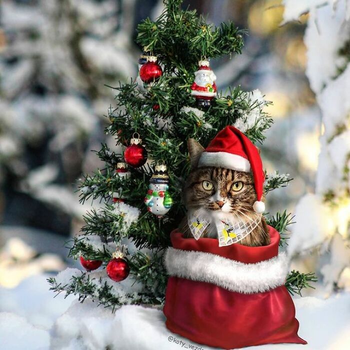 Person Shows What Everything Would Look Like If It Had A Cat’s Face And The Result Is Funny Yet Disturbing (98 New Pics)