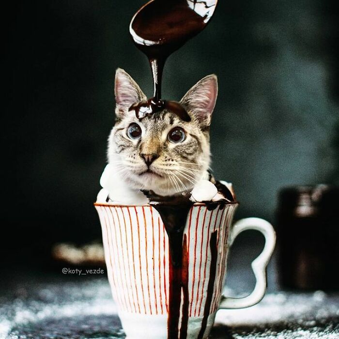 Person Shows What Everything Would Look Like If It Had A Cat’s Face And The Result Is Funny Yet Disturbing (98 New Pics) Person Shows What Everything Would Look Like If It Had A Cat’s Face And The Result Is Funny Yet Disturbing (98 New Pics)