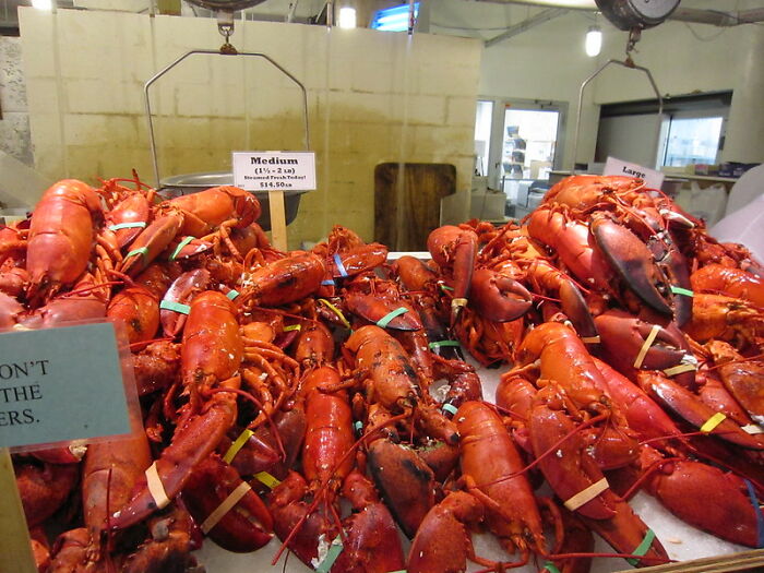 30 Of The Weirdest And The Most Disturbing Facts From Known History, Shared By People In This Online Group 30 Of The Weirdest And The Most Disturbing Facts From Known History, Shared By People In This Online Group