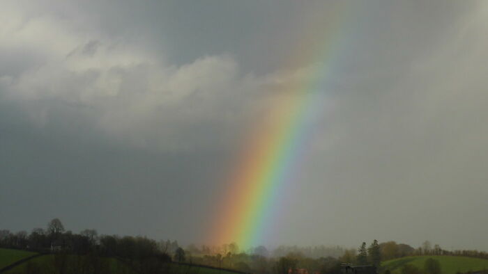 30 Of The Weirdest And The Most Disturbing Facts From Known History, Shared By People In This Online Group 30 Of The Weirdest And The Most Disturbing Facts From Known History, Shared By People In This Online Group