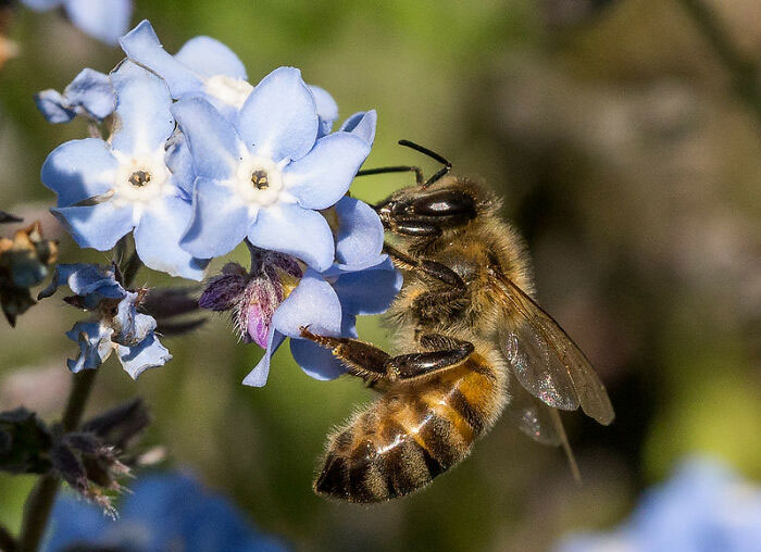 Unexpected Answers To 20 Interesting Yet Random Questions This Guy Searched On Google Unexpected Answers To 20 Interesting Yet Random Questions This Guy Searched On Google