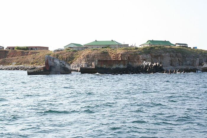 Unexpected Answers To 20 Interesting Yet Random Questions This Guy Searched On Google Unexpected Answers To 20 Interesting Yet Random Questions This Guy Searched On Google