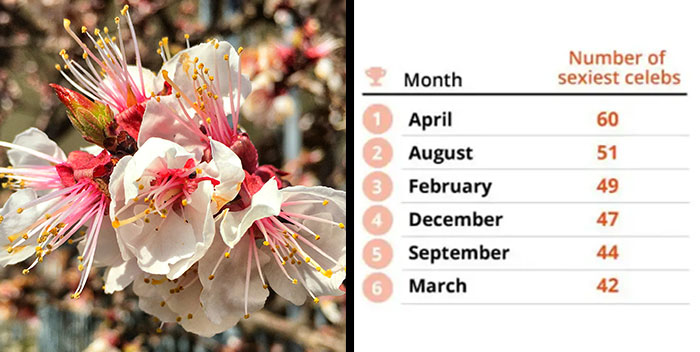 Unexpected Answers To 20 Interesting Yet Random Questions This Guy Searched On Google Unexpected Answers To 20 Interesting Yet Random Questions This Guy Searched On Google