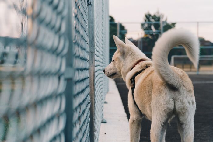 30 Life-Saving Tips That Aren’t Hard To Remember But Can Make A Huge Difference 30 Life-Saving Tips That Aren’t Hard To Remember But Can Make A Huge Difference