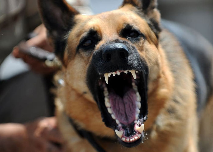 30 Life-Saving Tips That Aren’t Hard To Remember But Can Make A Huge Difference 30 Life-Saving Tips That Aren’t Hard To Remember But Can Make A Huge Difference