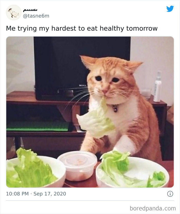 50 Of The Best Food-Related Memes 50 Of The Best Food-Related Memes