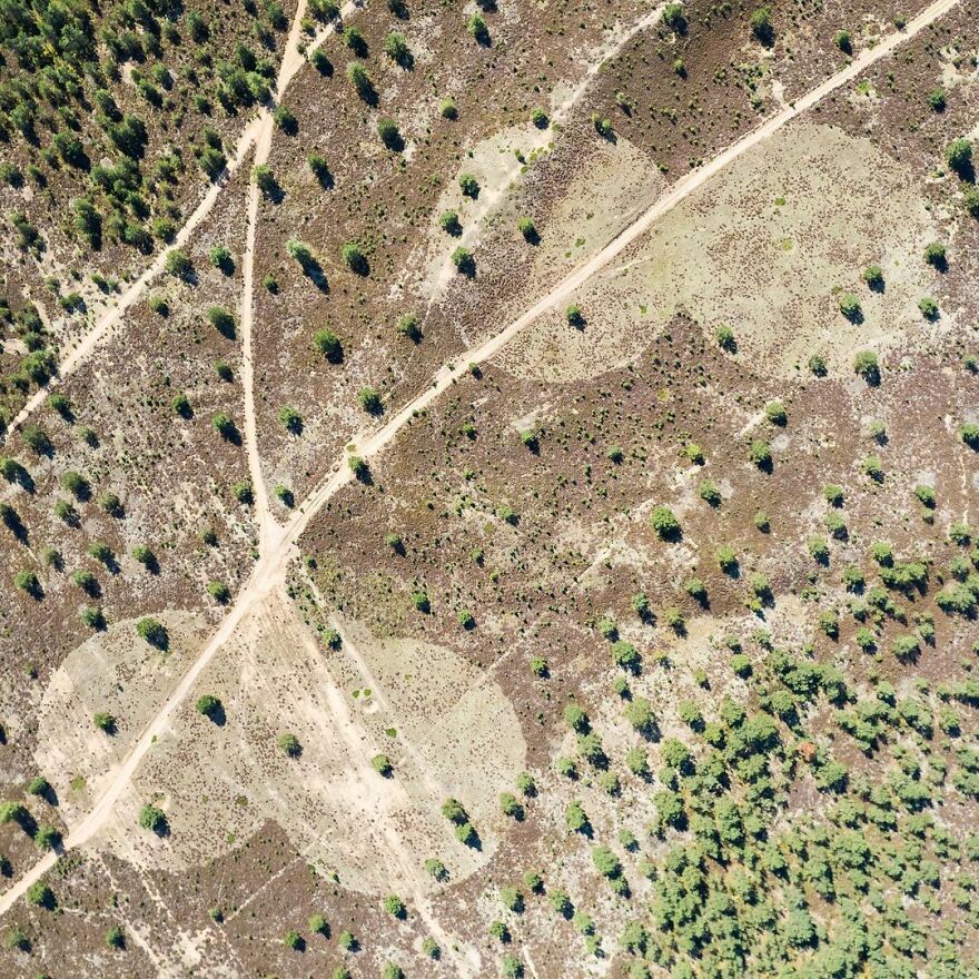 Let Me Show You The Beautiful Views Of Lithuania From A Bird&#8217;s-Eye View (100 Pics)