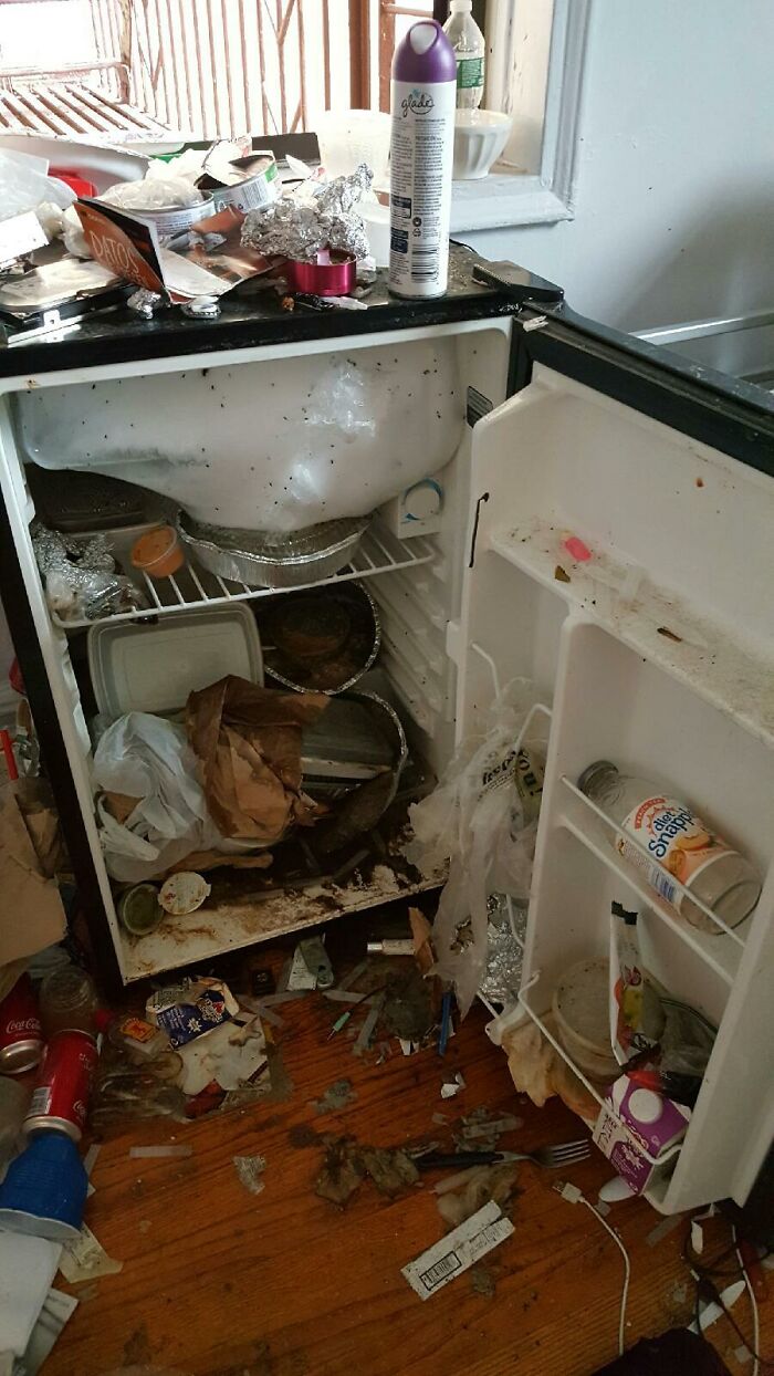 30 Landlords Describe The Weirdest And Most Disturbing Tenant They’ve Ever Had 30 Landlords Describe The Weirdest And Most Disturbing Tenant They’ve Ever Had